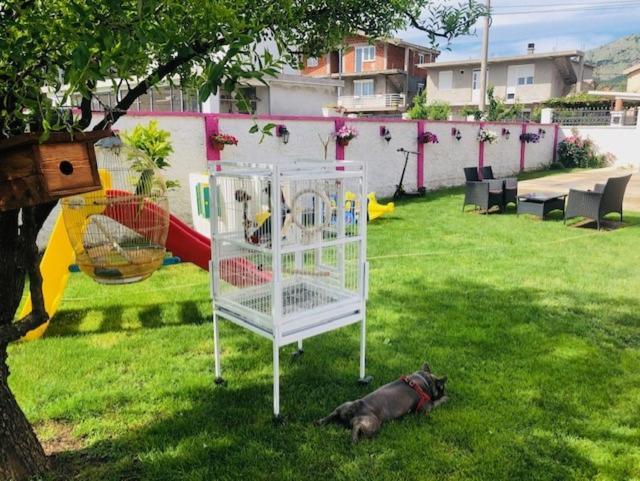 Apartman Mona Podgorica Zewnętrze zdjęcie